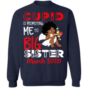 Cupid Is Promoting Me To Big Sister Valentines Announcement Valentines Day Shirt Long Sleeve