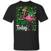 A Wee Bit Irish Today Flamingo Leprechaun St Patricks Day Shirt, Tank Top