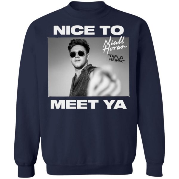 Niall Horan Shirt – Nice To Meet Ya Hoodie, Long Sleeve