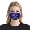 Green Bay Packers Face Mask