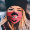 Sesame Street Sulley Monster Face Mask