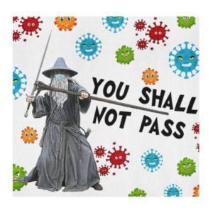 Gandalf You shall not pass Cloth Face Mask Reusable