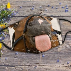 Horse licking out tongue Cloth Face Mask Reusable