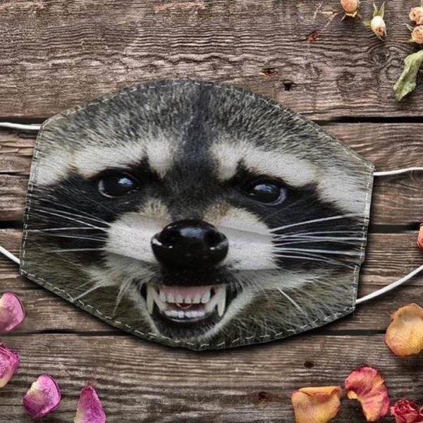 Raccoon Smile Cloth Face Mask Reusable