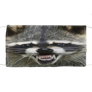 Raccoon Smile Cloth Face Mask Reusable