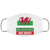 The Government Are Idiots Wales UK Funny Politics Face Mask