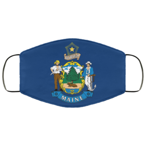 Flag of Maine state face mask