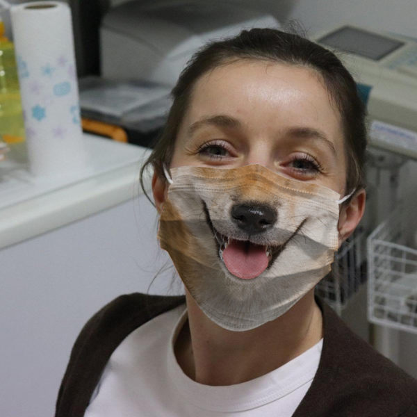 Shiba Inu Japanese Doge For Dog Lovers Face Mask