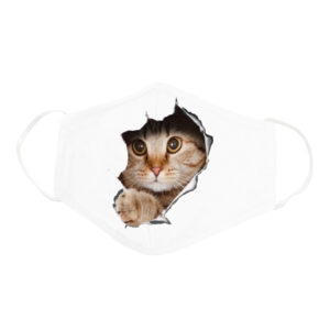 Funny Cute Cat Waiting Behind Mouse Hole Wall Face Mask