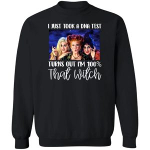 I Just Took A Dna Test Turns Out I'M 100 That Witch Halloween T-Shirt