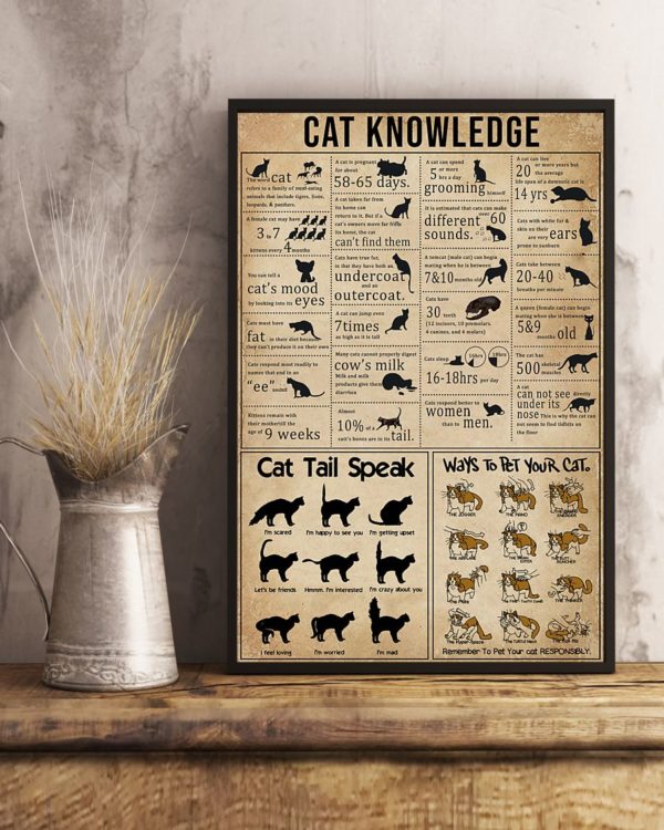 Cat Knowledge Vintage Poster, Canvas