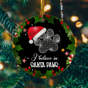 I Believe in Santa Paws Funny Christmas Cat Flat Holiday Circle Ornament