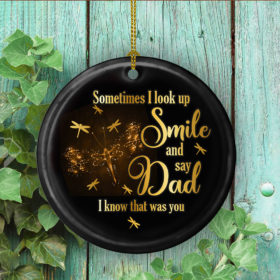 Dragonfly Sometimes I Look Up Smile And Say Dad I Know That Was You Decorative Ornament - Funny Holiday Gift