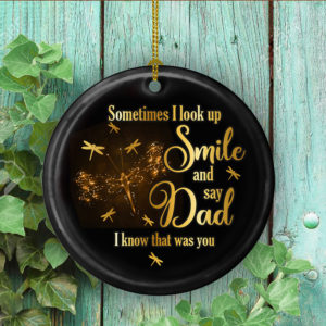 Dragonfly Sometimes I Look Up Smile And Say Dad I Know That Was You Decorative Ornament – Funny Holiday Gift