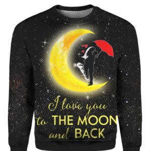 Couple I Love You To The Moon And Back 3D Sweater Hoodie