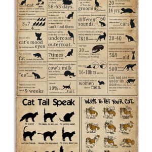 Cat Knowledge Vintage Poster, Canvas