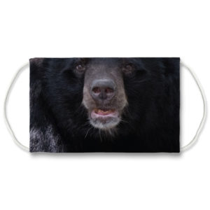 Black Bear Grizzly Bear Wild Face Mask