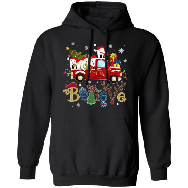 Dental Believe Merry Christmas Sweatshirt, Shirt