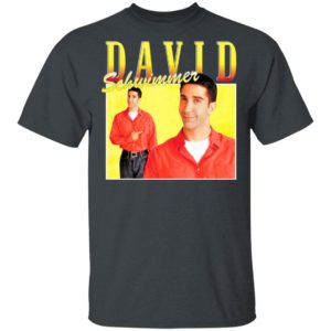David Schwimmer T-Shirt, Ladies Tee