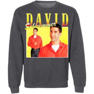 David Schwimmer T-Shirt, Ladies Tee