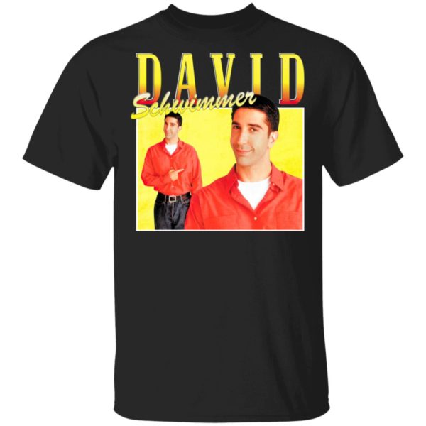 David Schwimmer T-Shirt, Ladies Tee