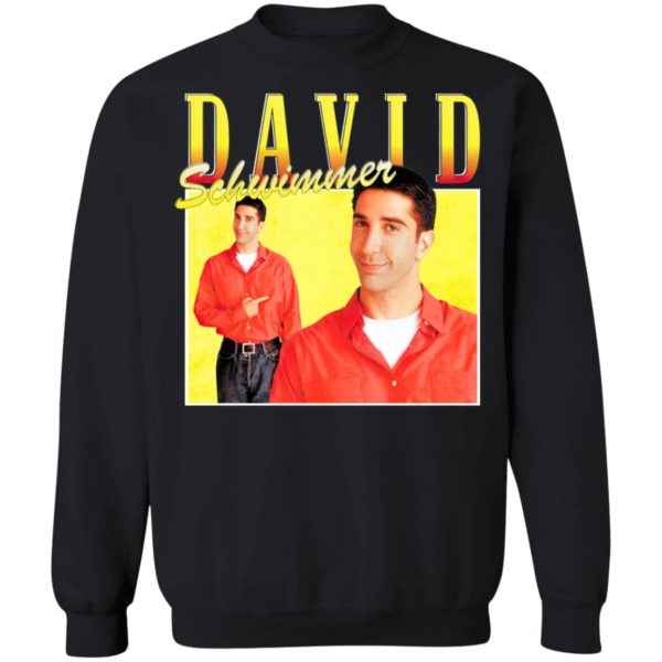 David Schwimmer T-Shirt, Ladies Tee