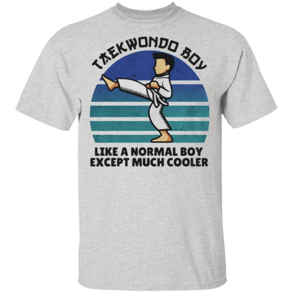 Teawondo Boy Like A Normal Boy Except Much Cooler shirt