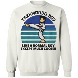 Teawondo Boy Like A Normal Boy Except Much Cooler shirt