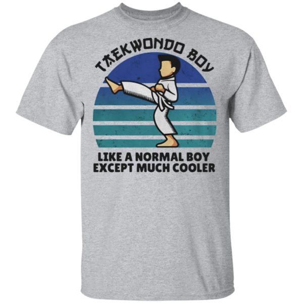 Teawondo Boy Like A Normal Boy Except Much Cooler shirt