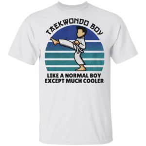 Teawondo Boy Like A Normal Boy Except Much Cooler shirt