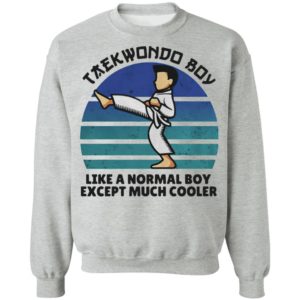 Teawondo Boy Like A Normal Boy Except Much Cooler shirt