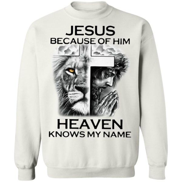 Lion Cross Jesus Because Of Him Heaven Knows My Name Shirt