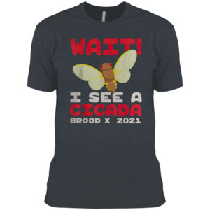 Wait I See A Cicada Bug Brood X 2021 Insect Shirt