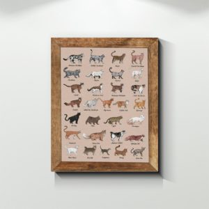 All Cat Breeds Canvas, Poster
