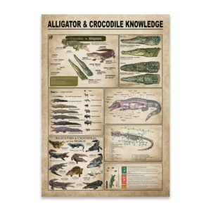 Alligators  Crocodiles Knowledge Canvas, Poster