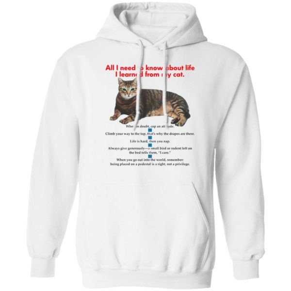 All I Need To Know About Life I Learned From My Cat Shirt, Hoodie
