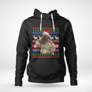 Pullover Hoodie Santa Sloth Christmas Light Sloth Ugly Christmas Sweatshirt