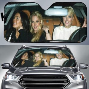 Paris Hilton Linsay Lohan Britney Spears Car Auto Sunshade