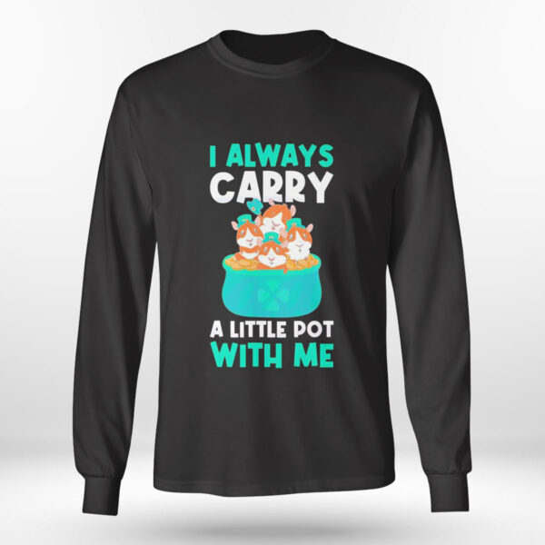 I Carry A Pot With Me Funny Guinea St Patricks Day Shirt, Hoodie