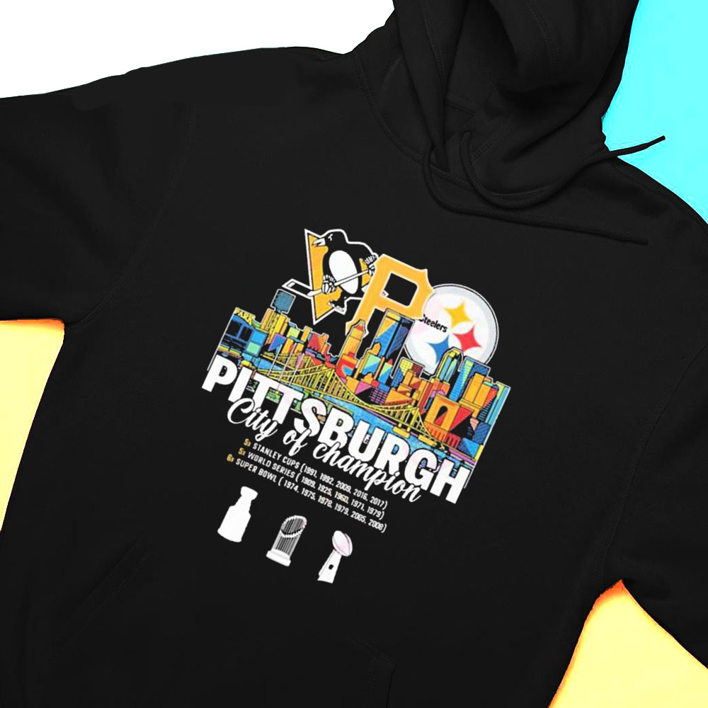 Official Pittsburgh Steelers Sport Team 2023 Champions shirt