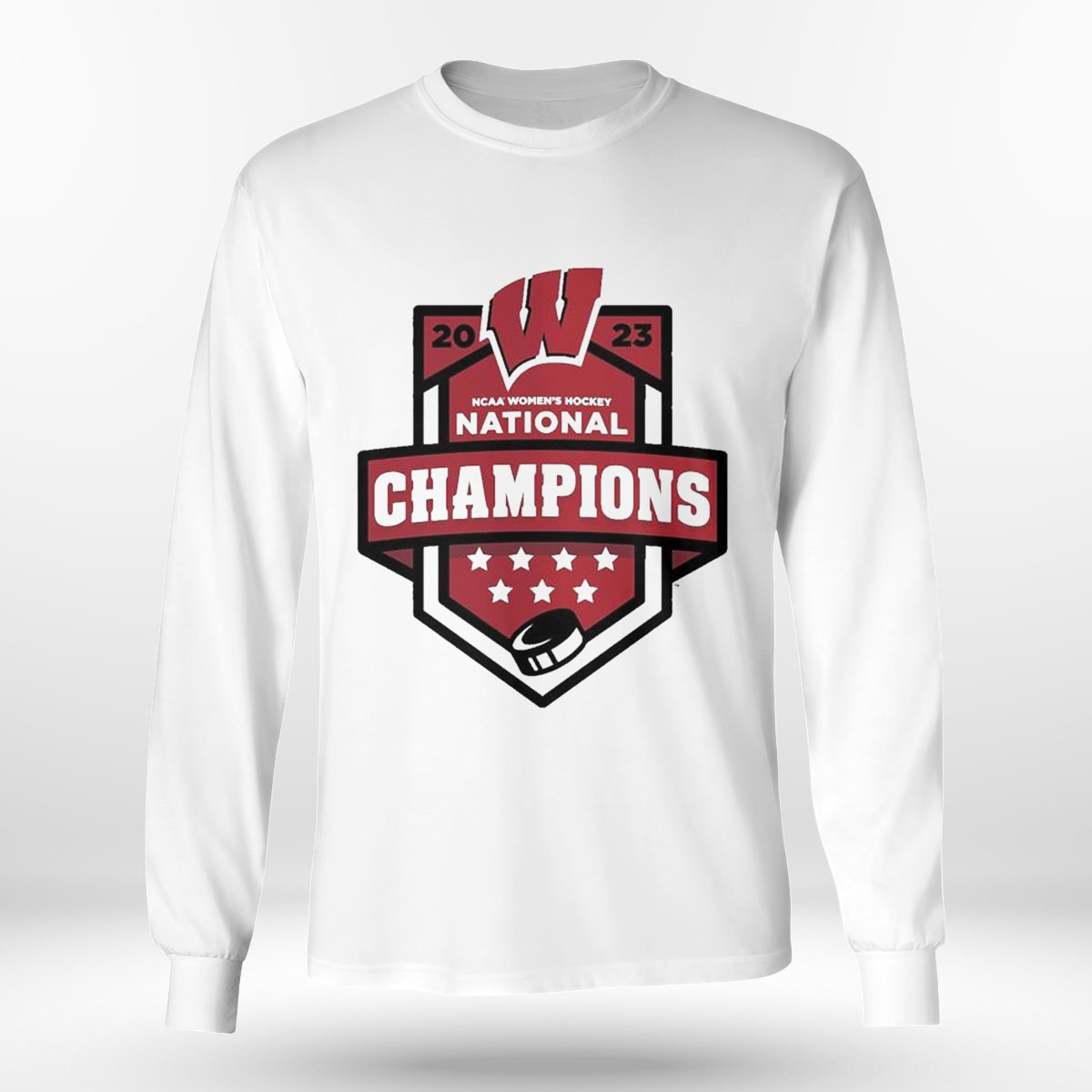 Wisconsin Badgers 2023 Ncaa Womens Ice Hockey National Champions T-shirt