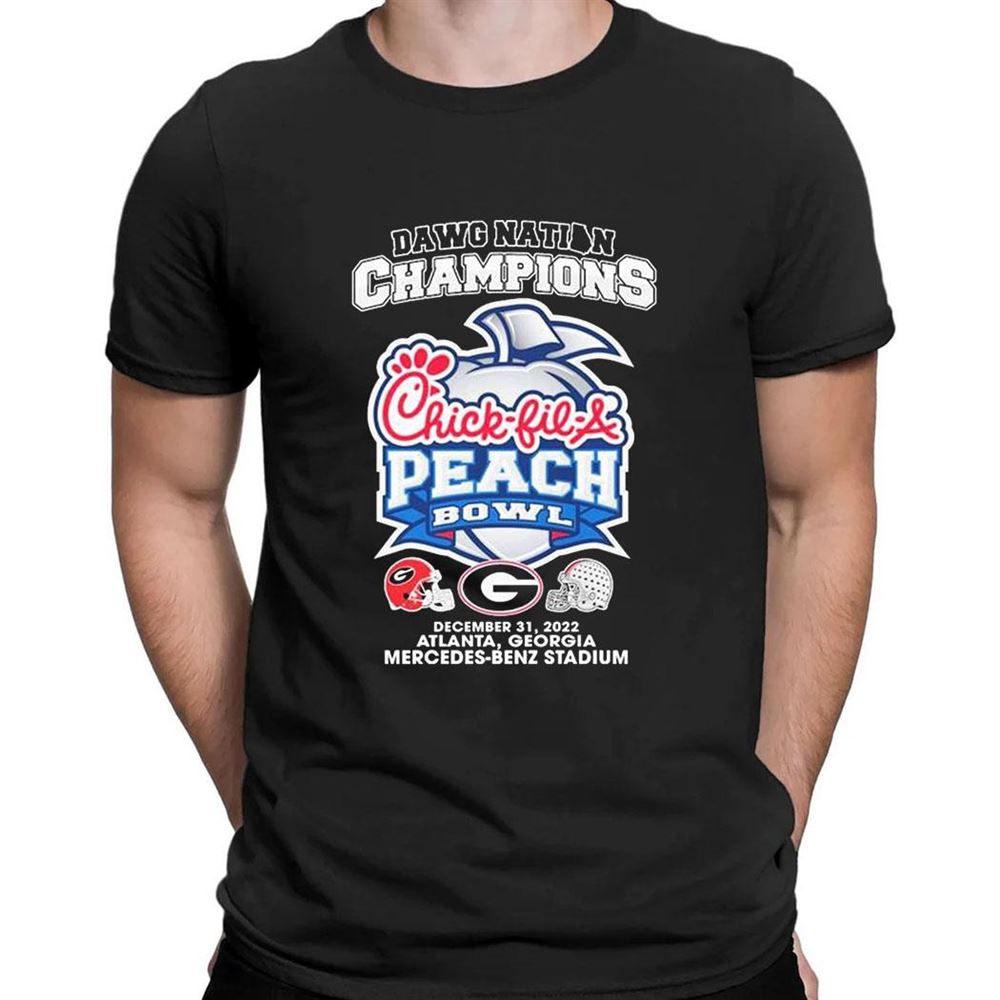 Florida State Seminoles 2023 Acc Softball Regular Season Champions T-shirt