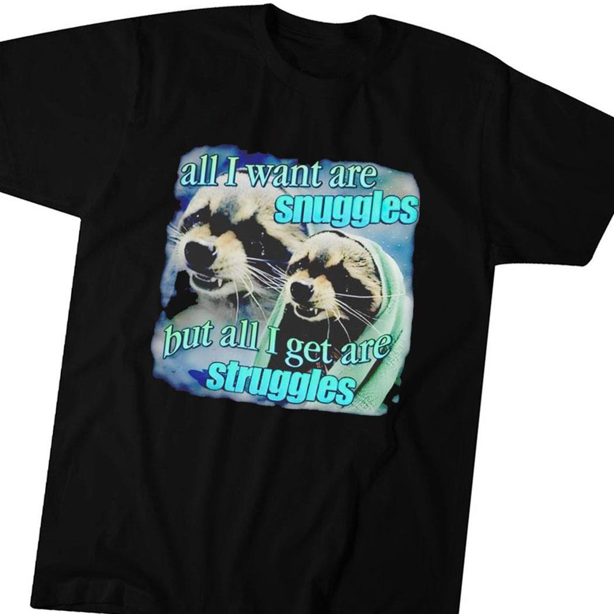 All I Want Are Snuggles But All I Get Are Struggles Raccoon T-shirt