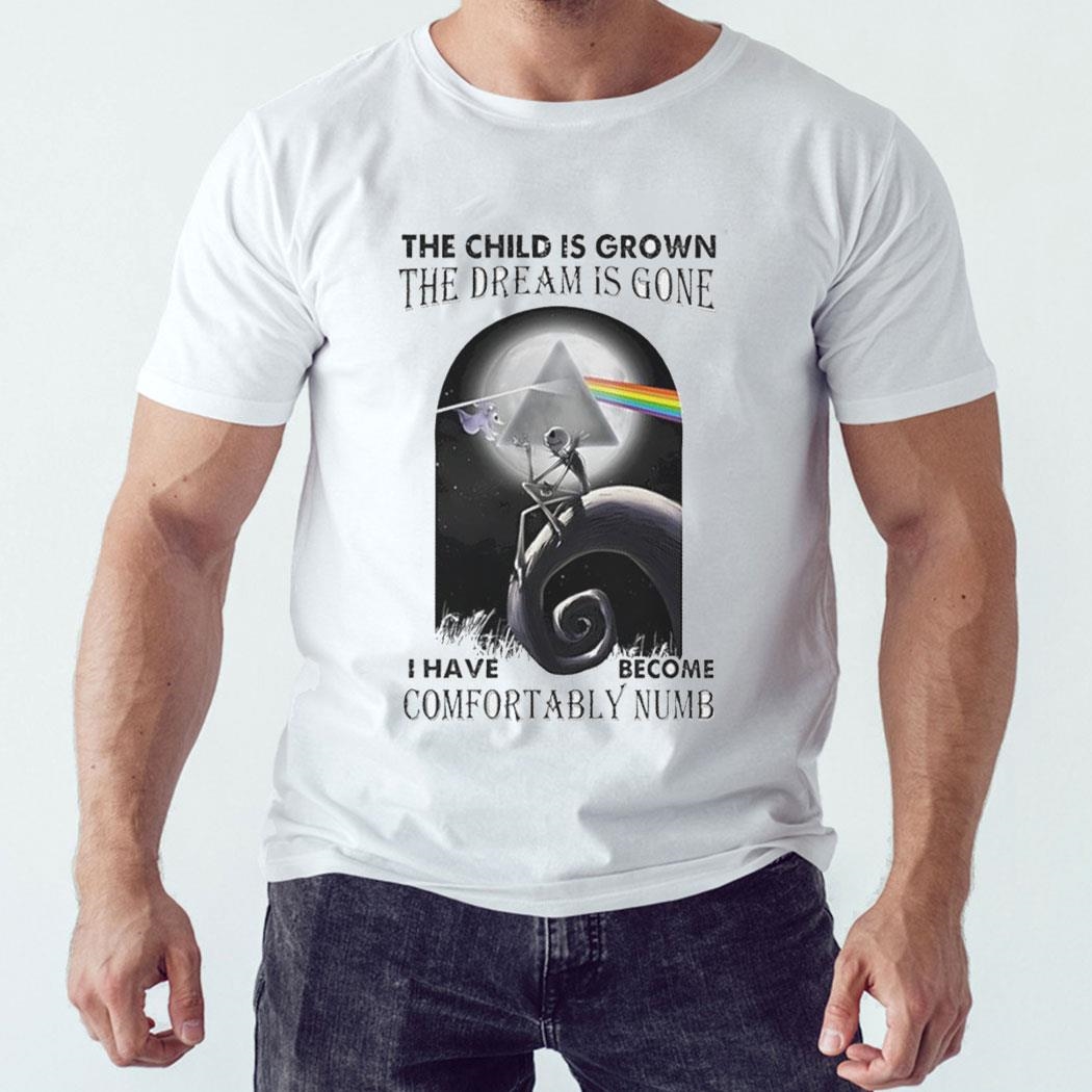 The Child Is Grown The Dream Is Gone I Have Become Comfortably Numb Shirt