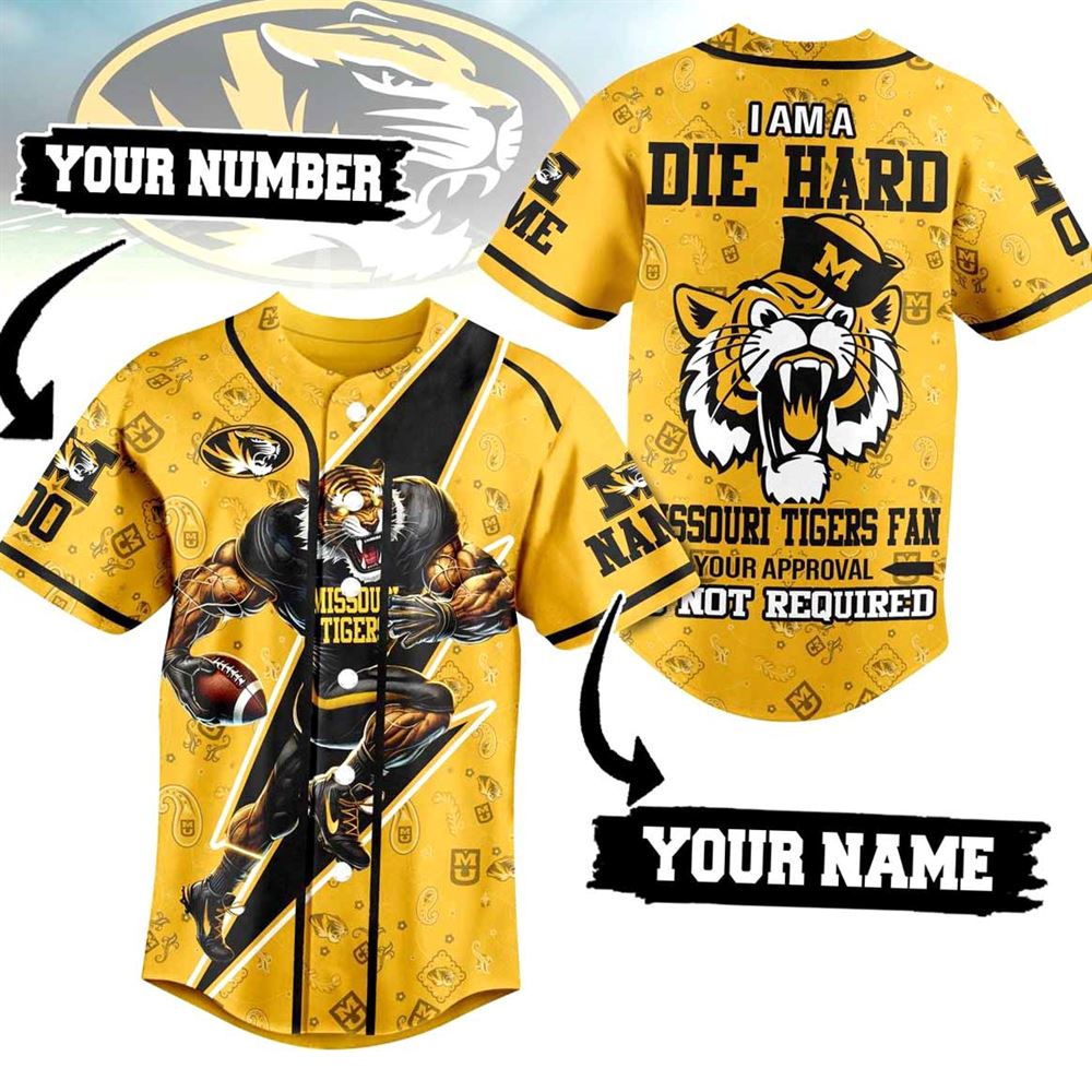 I’m A The Crazy Tigers Fan Everyone Warned You About Custom Baseball Jersey