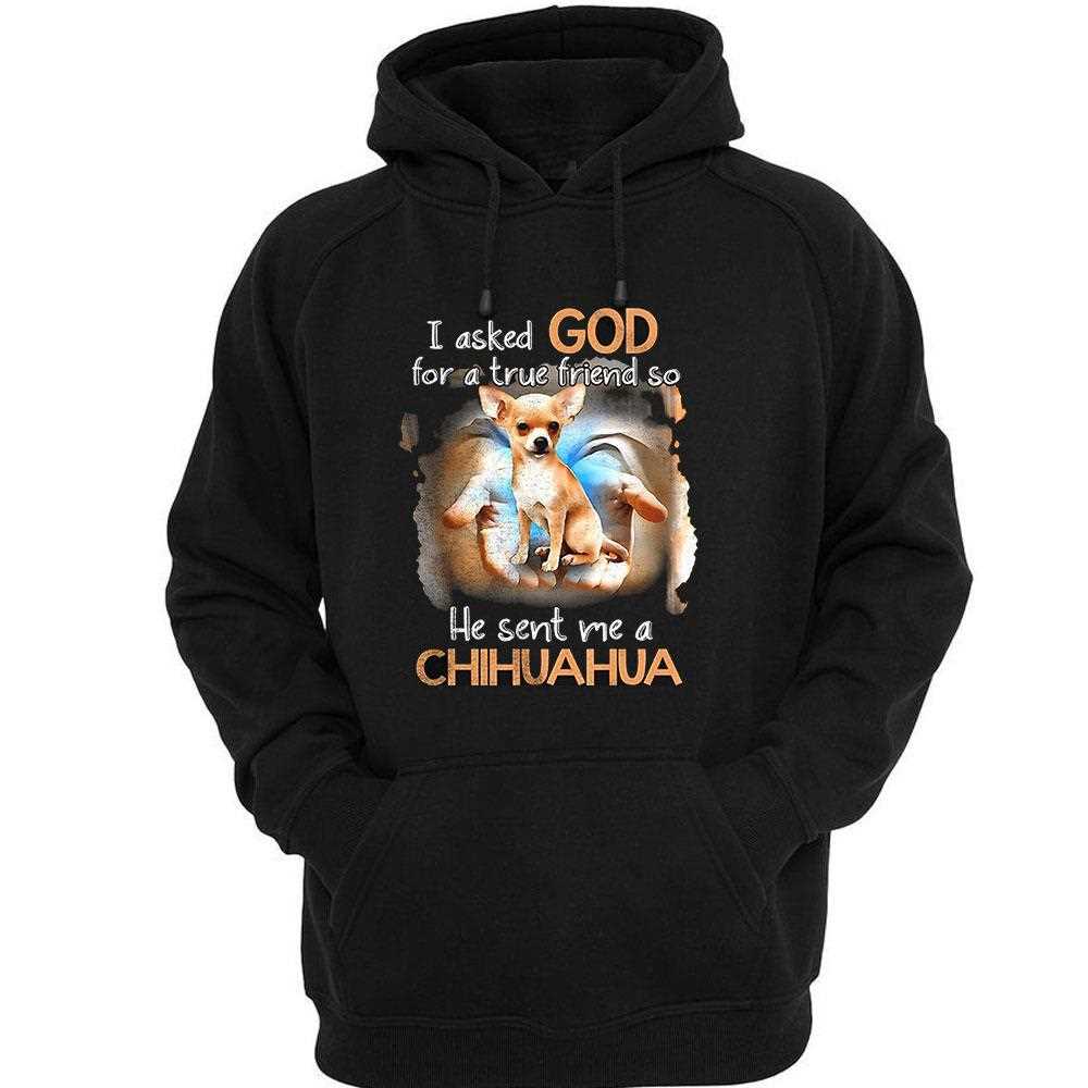 I Asked God For A True Friend So He Sent Me A Chihuahua Shirt I Asked God For A True Friend So He Sent Me A Chihuahua Shirt