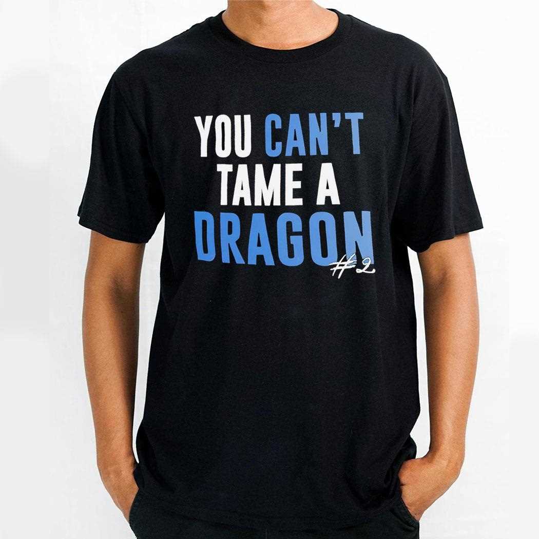 You Cant Tame A Dragon Shirt