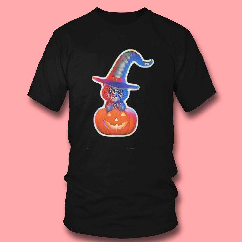 Cute Black Cat With Witch Hat In Pumpkin Shirt Cute Black Cat With Witch Hat In Pumpkin Shirt